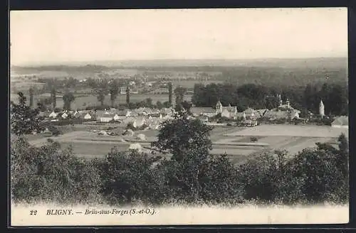 AK Bligny, Vue générale de Briis-sous-Forges et de la campagne environnante