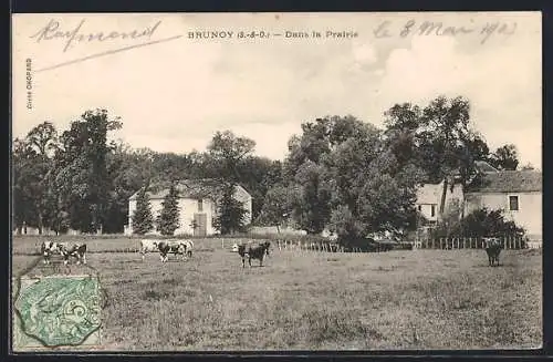 AK Brunoy, Dans la Prairie