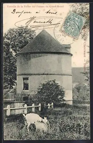 AK Bures Essonne, Tourelle de la Ferme du Château du Grand-Mesnil avec chèvres au pâturage