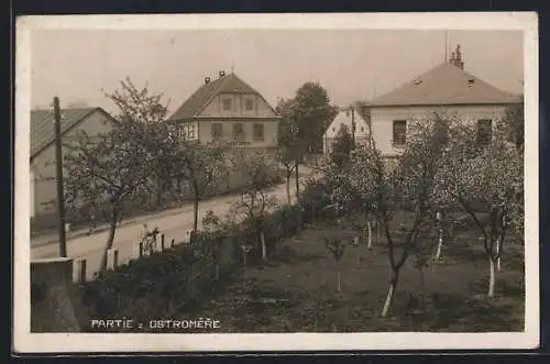 AK Ostromer, Strassenpartie im Frühjahr