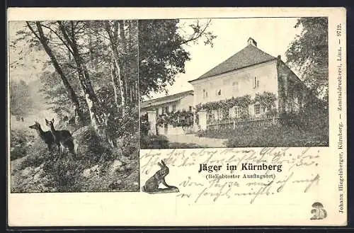 AK Linz, Gasthaus Jäger im Kürnberg, Rehe im Wald