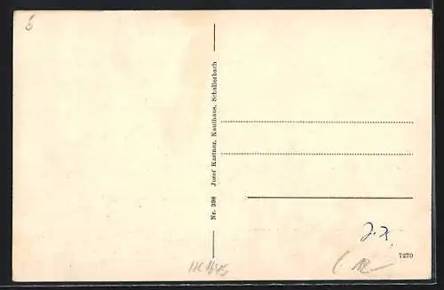 AK Schallerbach, Kurhaus St. Raphael, Kurhaus d. Nied.-Oesterr. Krankenkassen, Kurhaus Schallerbacherhof, Ortsansicht