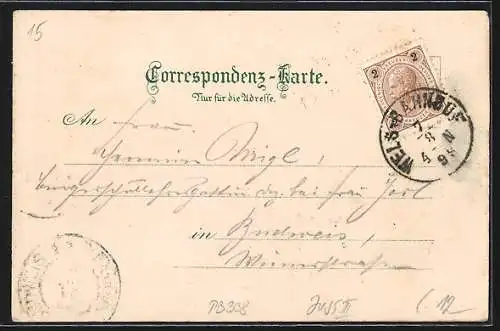 Lithographie Wels, Flusspartie im Ort