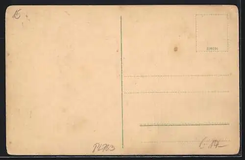 AK Lichtenegg bei Wels, Ad. Bleichert & Co. G. m. b. H., Fabrikanlagen von Ludwig Hinterschweiger