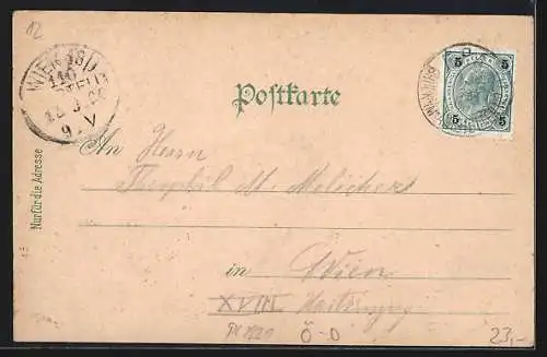 Lithographie Gaflenz /O.Ö., Mejers Villa, Kirche und Kronlacher`s Gasthaus, Marktplatz und Heuberger`s Gasthaus