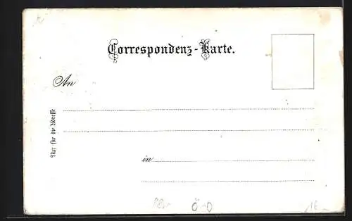 Lithographie Mondsee, Ortsansicht mit der Drachenwand, Panorama