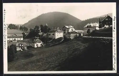 AK Puchenstuben, Ortspanorama mit Bergblick