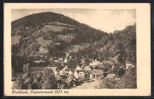 AK Waldbach, Totalansicht des Ortes