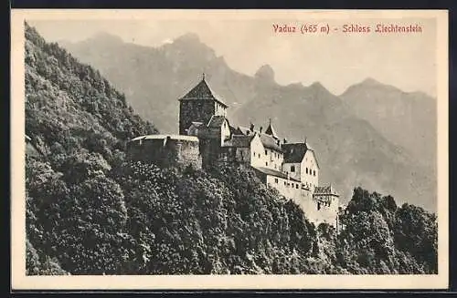 AK Vaduz, Schloss Liechtenstein mit Bergpanorama