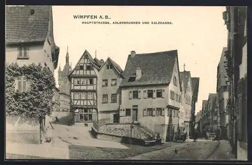 AK Wimpfen a. B., Hauptstrasse, Adlerbrunnen und Salzgasse