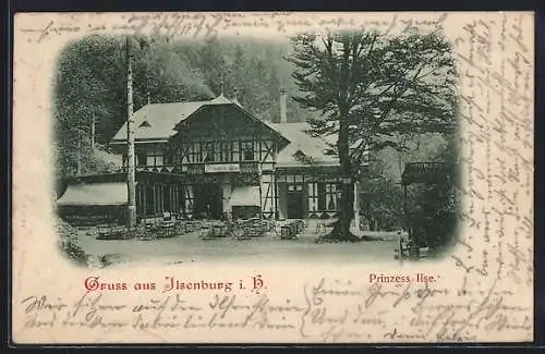 AK Ilsenburg i. H., Gasthaus Prinzess Ilse am Waldrand