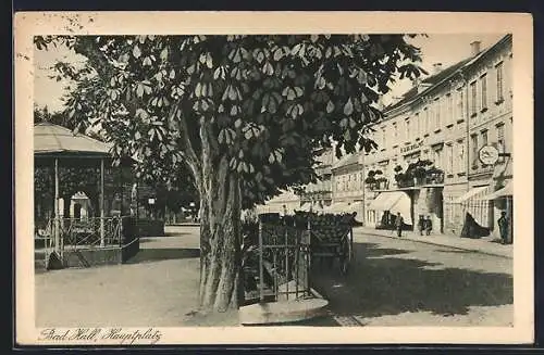 AK Bad Hall, Kastanie auf dem Hauptplatz