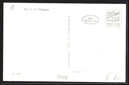 AK Wels, Partie im Volksgarten