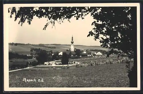 AK Aspach /O. Ö., Ortspartie mit Kirche