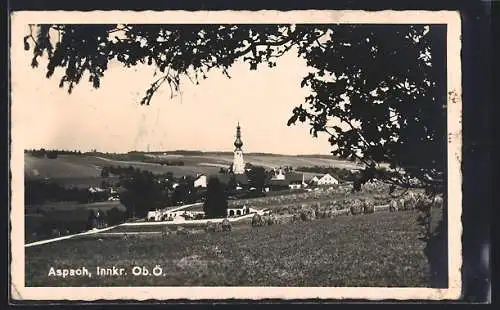 AK Aspach /Innkr., Ortspartie mit Kirche