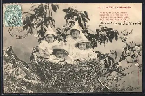 AK Kleine Harlekine in einem Nest im Baum