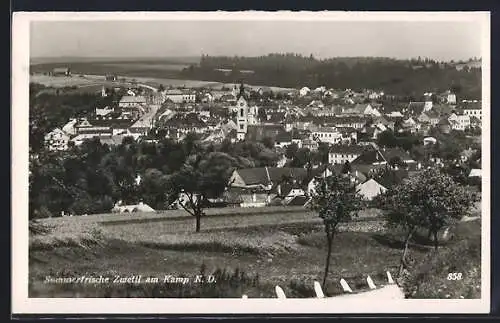 AK Zwettl am Kamp, Blick über die Dächer