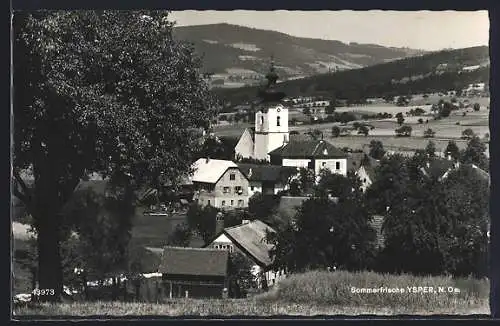 AK Ysper, Blick von der Bergwiese