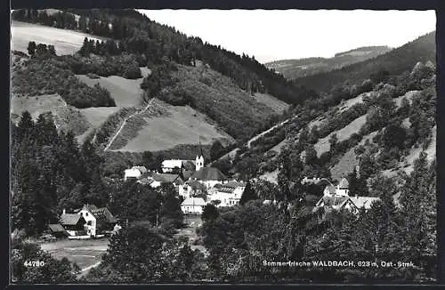 AK Waldbach /Ost-Stmk., Teilansicht mit Kirche