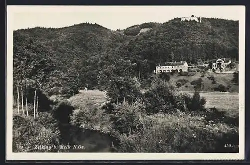 AK Zelking b. Melk, Ortsansicht mit Burgruine