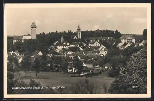 AK Allentsteig, Blick auf den Ort