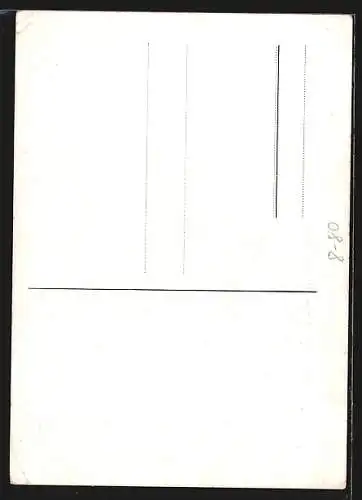 AK Pferde-Dressur und Balance-Akt 2 Wilke