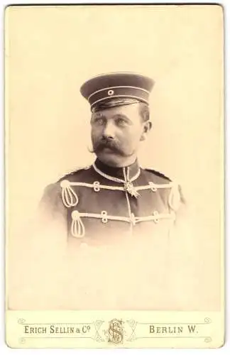 Fotografie Erich Sellin & Co., Berlin, Offizier in Husaren Uniform mit Halsorden: Pour le Merite