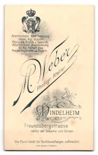 Fotografie M. Weber, Mindelheim, junger Pastor im Talar