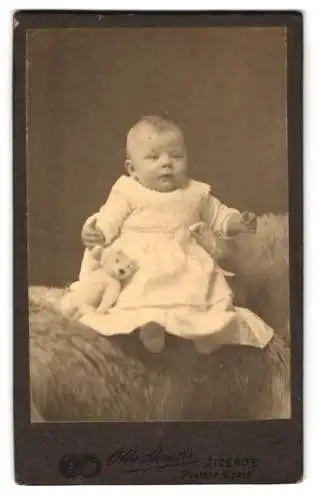 Fotografie Otto Stiegler, Itzehoe, Mädchen Elisabeth Saure mit ihrem Teddybär, 1912