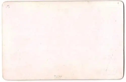 Fotografie A. Red. Linz, Ansicht Ottensheim, Blick nach dem Ort mit Schloss Ottensheim