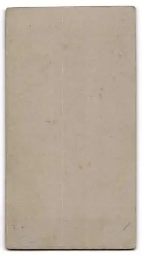 Fotografie Carl Seegert, Charlottenburg, Schloss-Str. 15, Porträt einer Dame am Schreibtisch