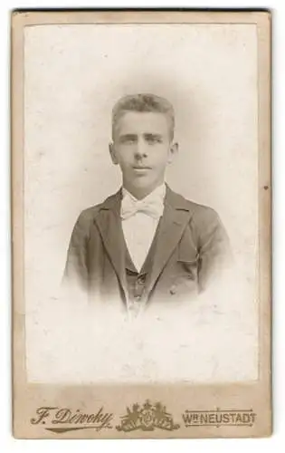 Fotografie Franz Diwoky, Wr. Neustadt, Brodtischgasse 21, Porträt eines jungen Mannes