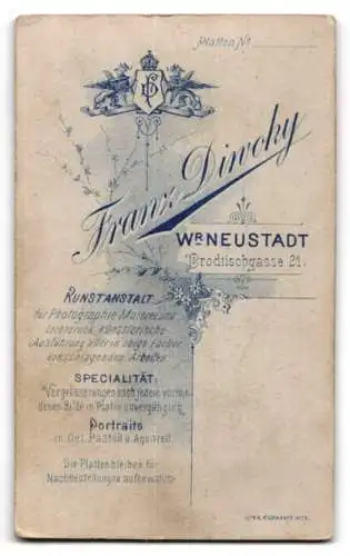 Fotografie Franz Diwoky, Wr. Neustadt, Brodtischgasse 21, Porträt eines jungen Mannes