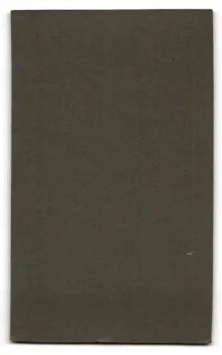 Fotografie H. Hahn, Lübeck, Gr. Burgstr. 33, Porträt einer jungen Frau