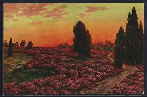 Ölgemälde-Imitations-AK Imita / A.S.-M. Leipzig Nr. 342: Sonnenuntergang in der Heide