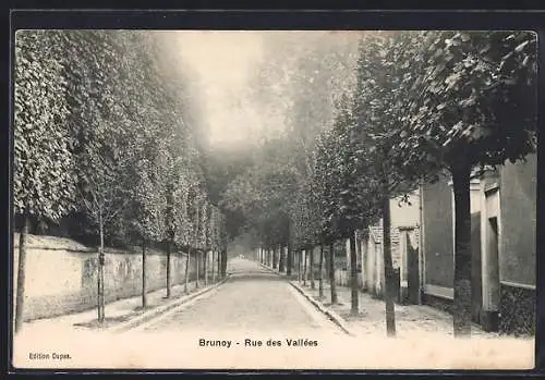 AK Brunoy, Rue des Vallées avec allée d`arbres majestueux