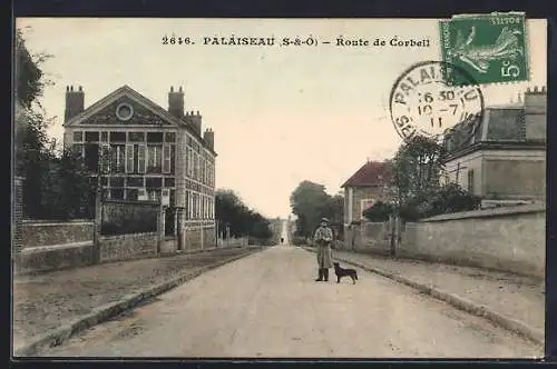 AK Palaiseau, Route de Corbeil avec homme et chien sur la route