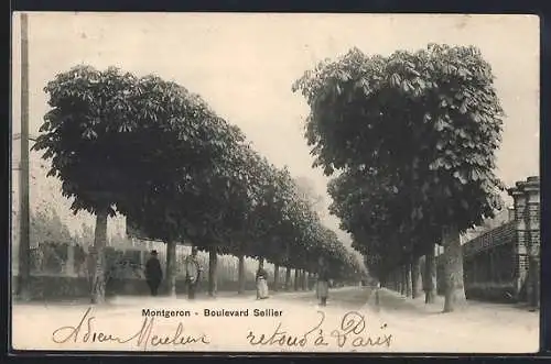 AK Montgeron, Boulevard Sellier avec rangée d`arbres et passants