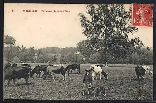 AK Montgeron, Pâturage dans les Prés