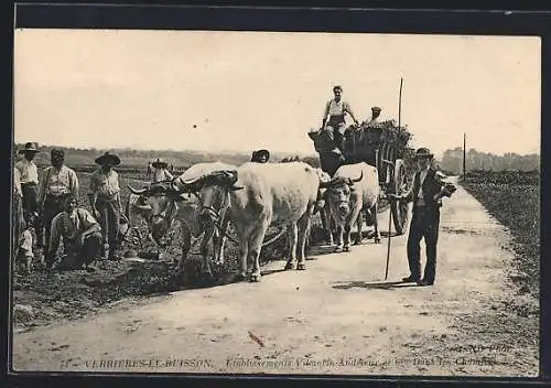 AK Verrières-le-Buisson, Attelage de boeufs et travailleurs dans les champs