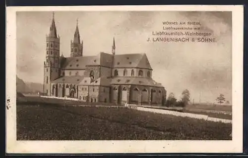 AK Worms am Rhein, Liebfrauenkirche mit Liebfraumilch-Weinbergen J. Langenbach & Söhne