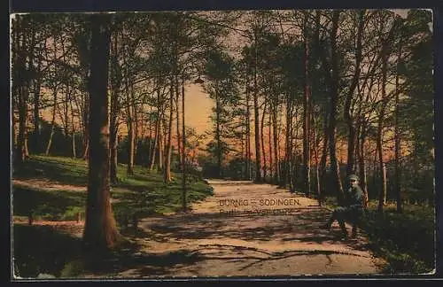 AK Börnig-Sodingen, Partie im Volkspark