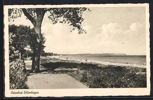 AK Boltenhagen /Ostsee, Strandpartie mit Promenade