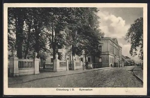 AK Oldenburg i. O., Gymnasium mit Strassenpartie