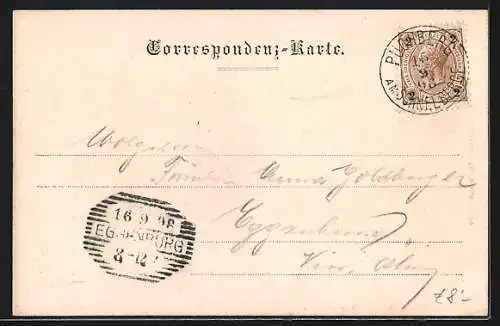 AK Puchberg, Station Puchberg und Schneeberg aus der Vogelschau