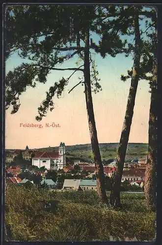 AK Feldsberg /N.-Oe., Ortsansicht von einer Anhöhe aus