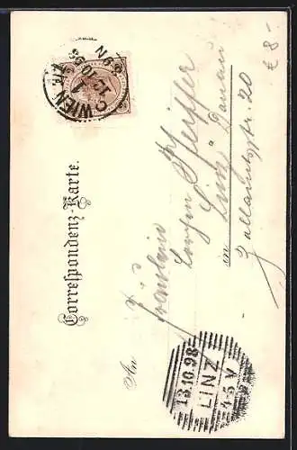 Lithographie Laxenburg, Franzensburg mit Enten, Überfuhr