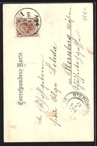 Lithographie Laxenburg, Franzensburg mit Enten, Überfuhr