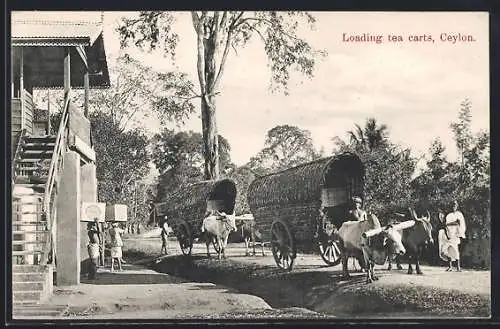 AK Loading Tea Carts on Ceylon