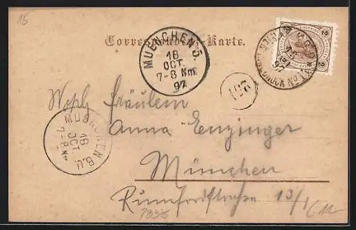 AK Wels, Teilansicht